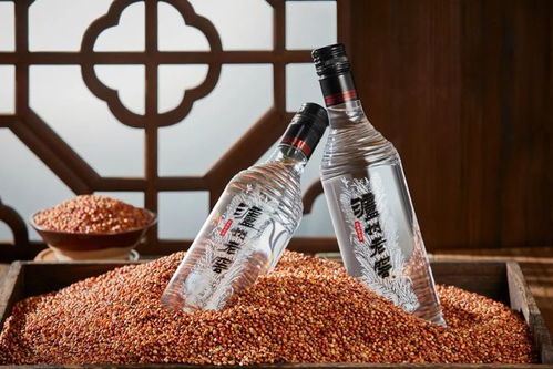 老窖熱與光瓶熱 白酒零售市場(chǎng)的消費(fèi)新趨勢(shì)解析